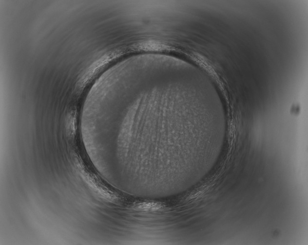 X0000115410063200912011349