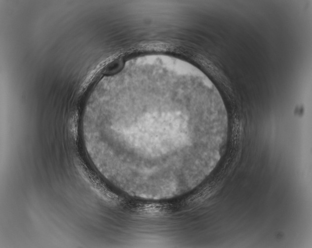 X0000115410064200912011349