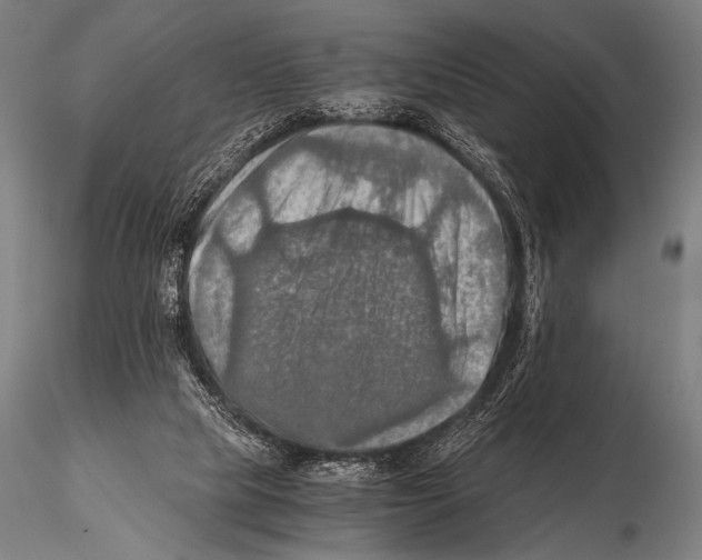 X0000115410065200912011349