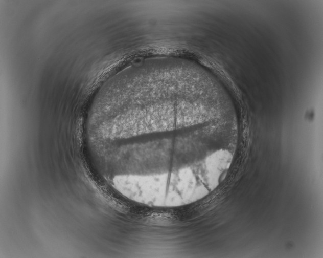 X0000115410066200912011349