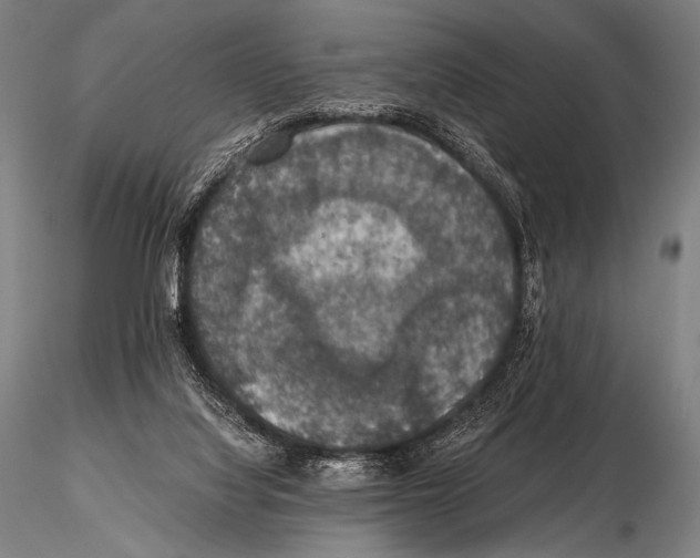 X0000115410068200912011349