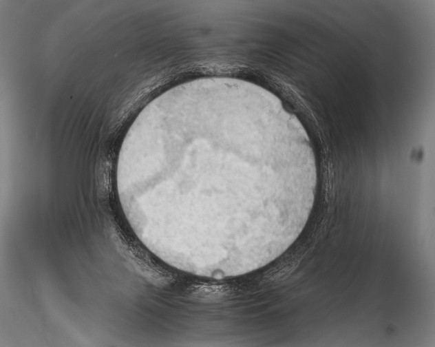 X0000115410071200912011350