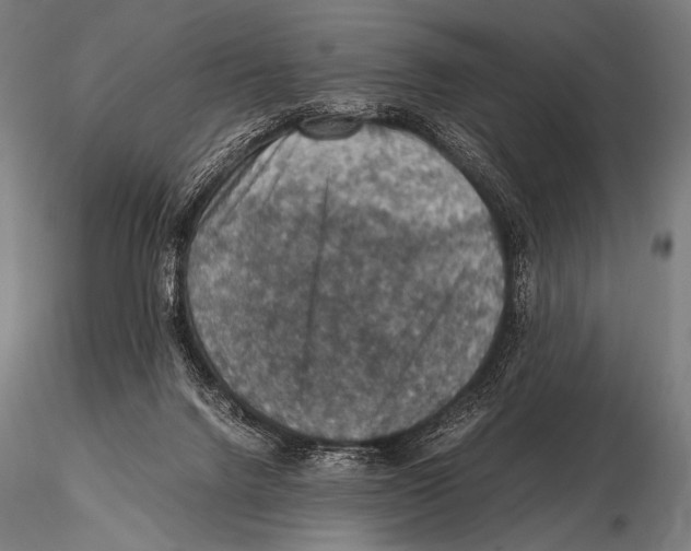 X0000115410072200912011350