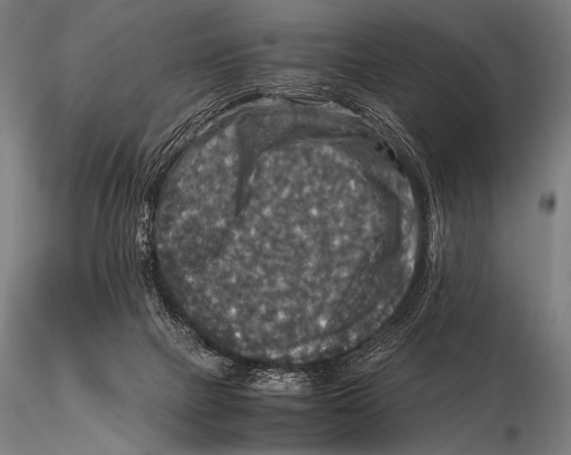 X0000115410073200912011350