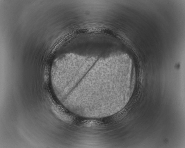 X0000115410074200912011350