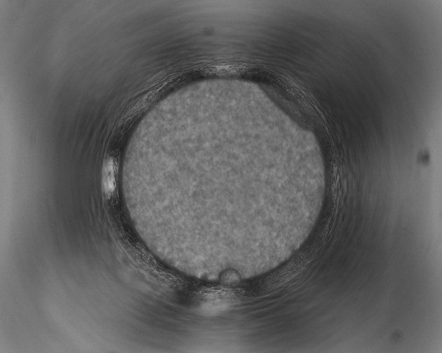 X0000115410075200912011350