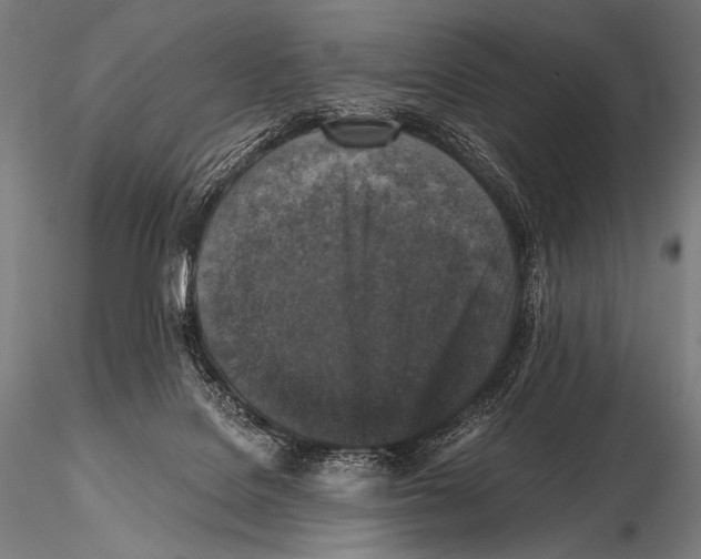 X0000115410076200912011350