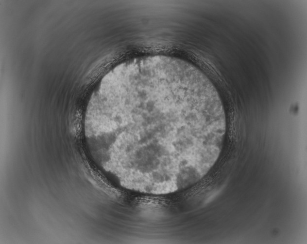 X0000115410077200912011350