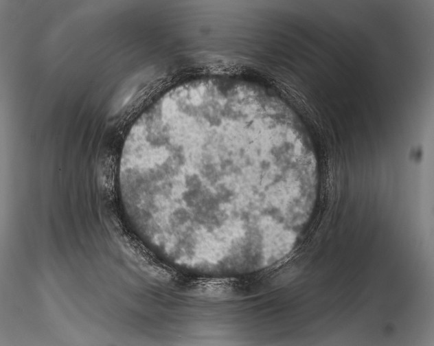 X0000115410078200912011350