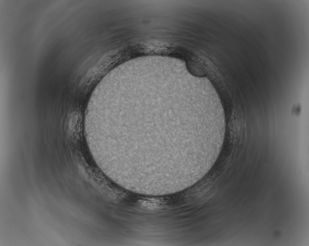 X0000115410079200912011350