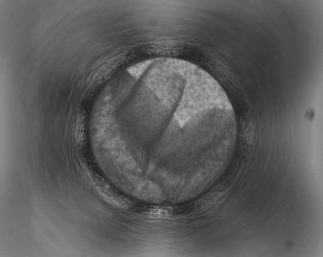 X0000115410080200912011350