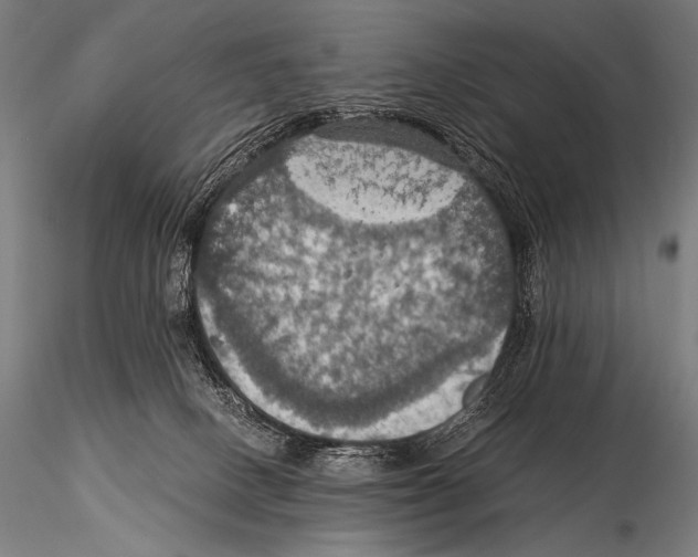 X0000115410082200912011350