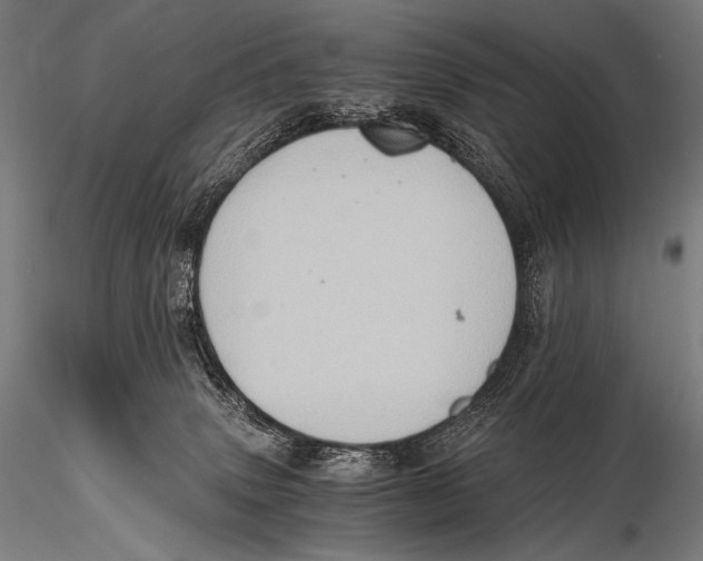 X0000115410083200912011350