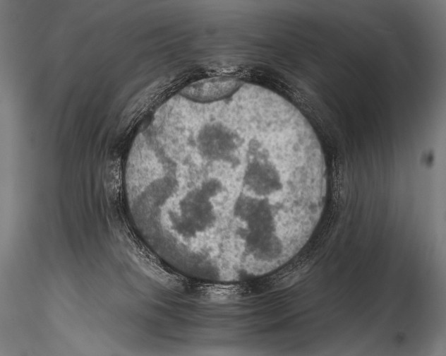 X0000115410085200912011350