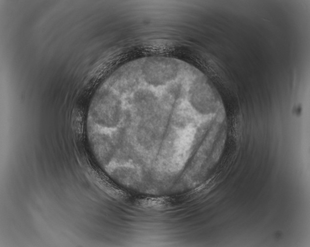 X0000115410086200912011350