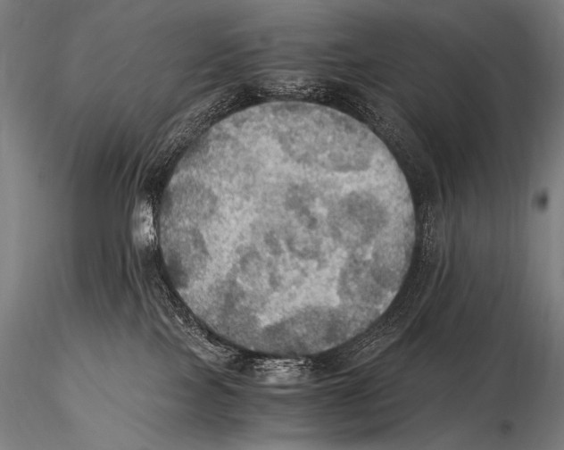 X0000115410089200912011350