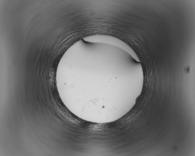 X0000115410092200912011350