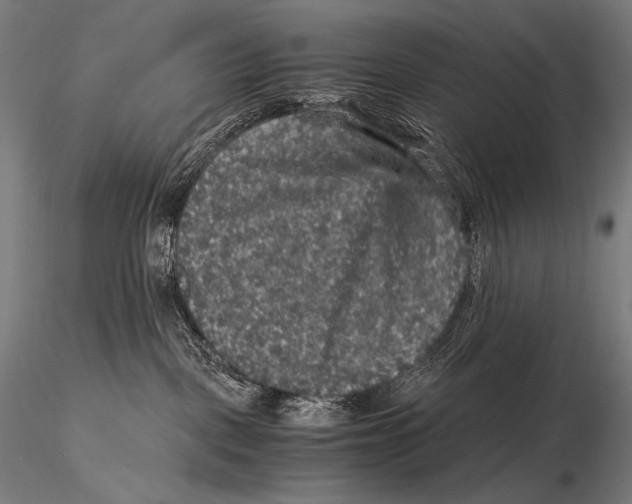 X0000115410093200912011350