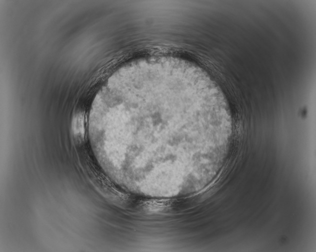 X0000115410094200912011350