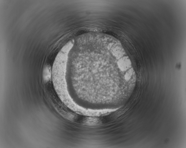 X0000115410095200912011350