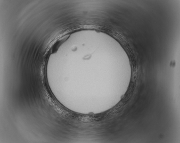 X0000115410098200912011349