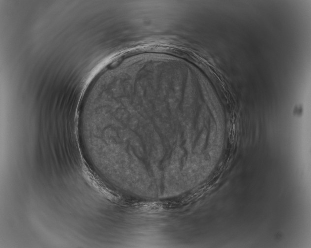 X0000115410100200912011349