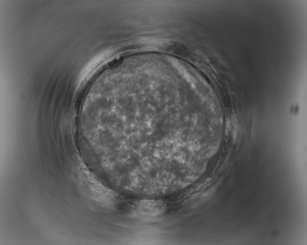 X0000115410101200912011349