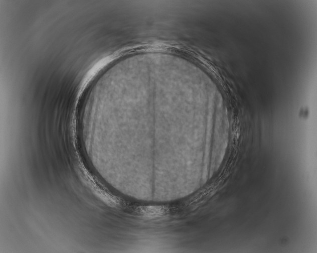 X0000115410102200912011349