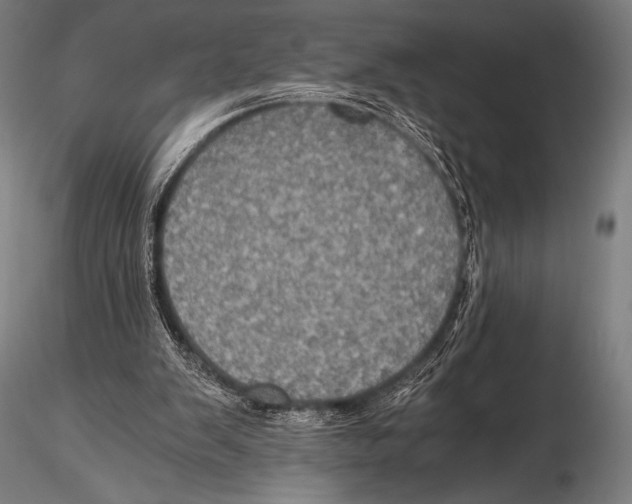 X0000115410103200912011349