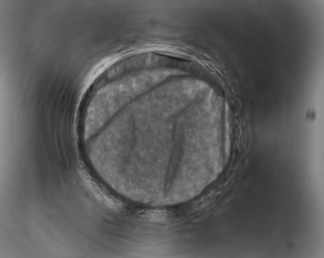 X0000115410104200912011349