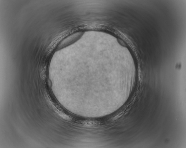 X0000115410105200912011349