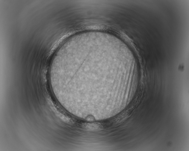 X0000115410106200912011349