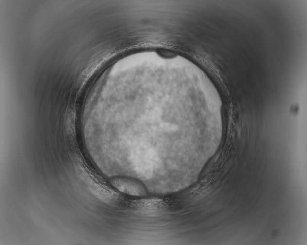 X0000115410108200912011349