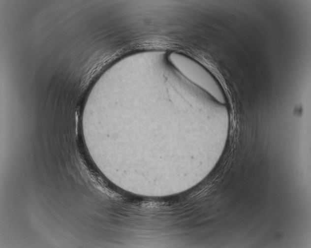 X0000115410109200912011349