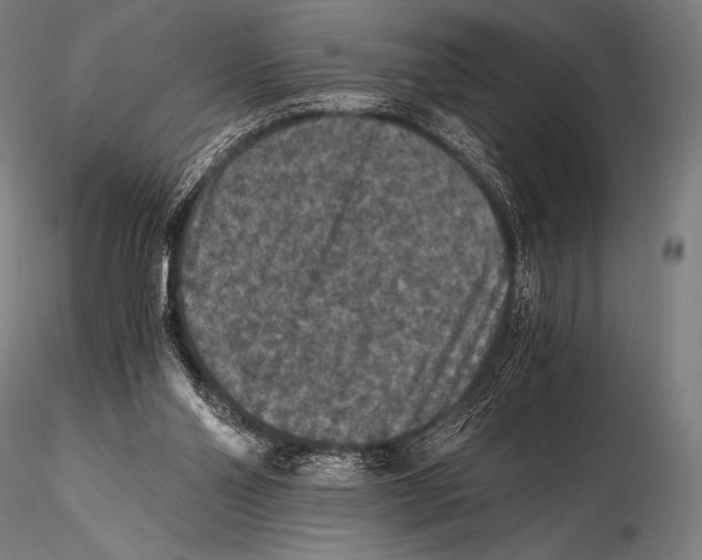 X0000115410110200912011349