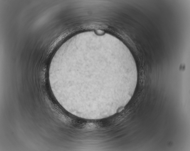 X0000115410111200912011349