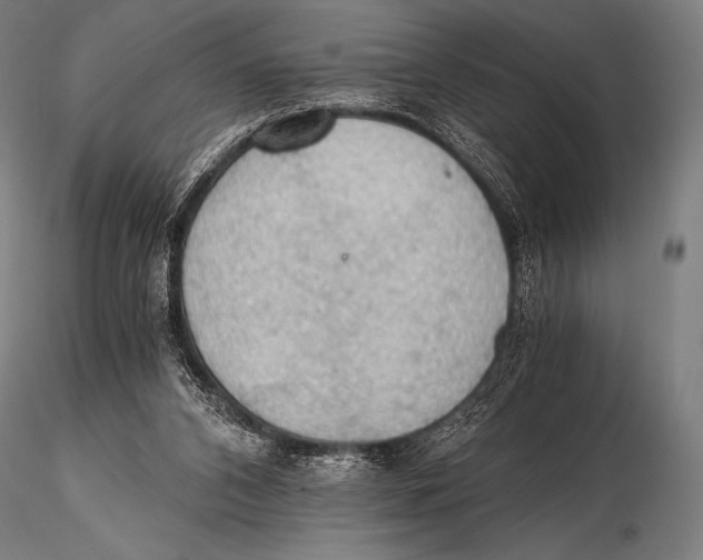 X0000115410112200912011349