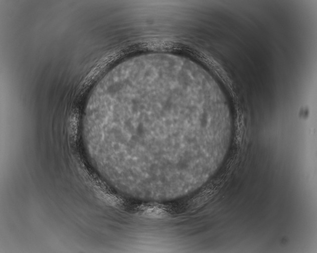 X0000115410113200912011349