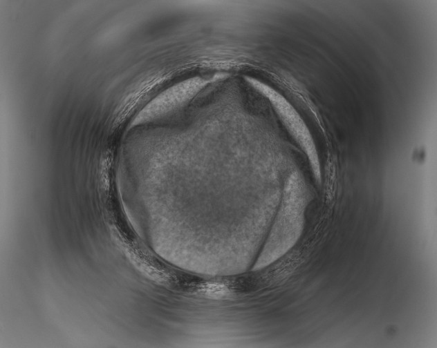 X0000115410114200912011349