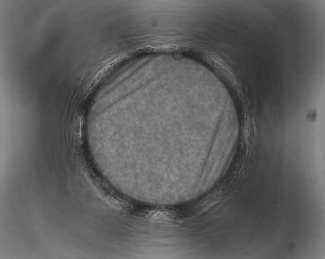 X0000115410115200912011349