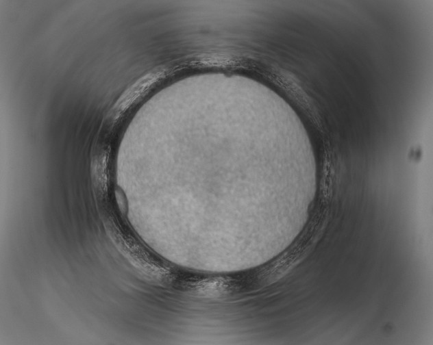 X0000115410116200912011349