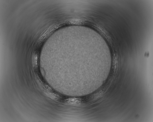 X0000115410117200912011349