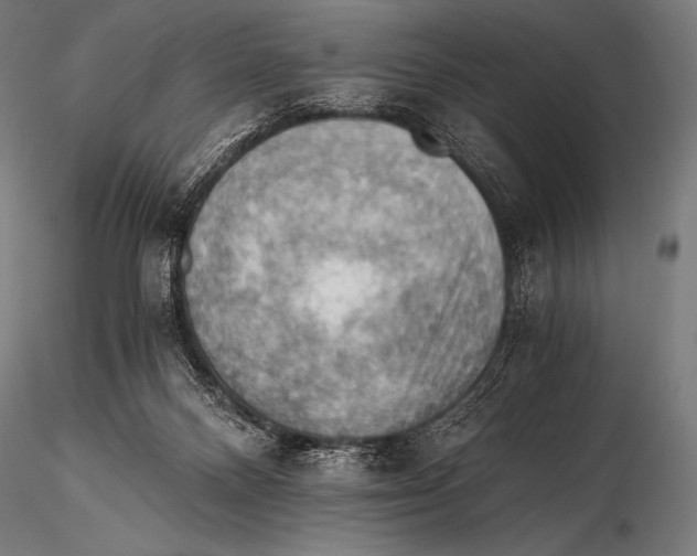 X0000115410120200912011349