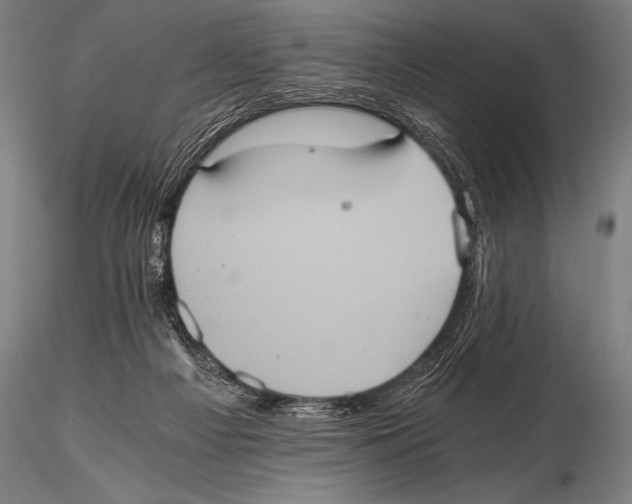 X0000115410121200912011349