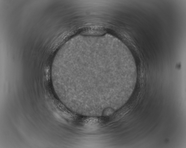 X0000115410123200912011349