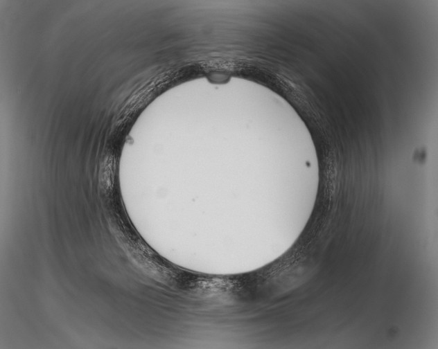 X0000115410125200912011349