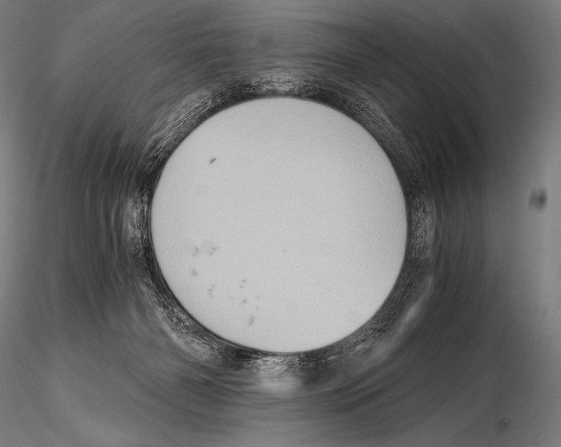 X0000115410126200912011349