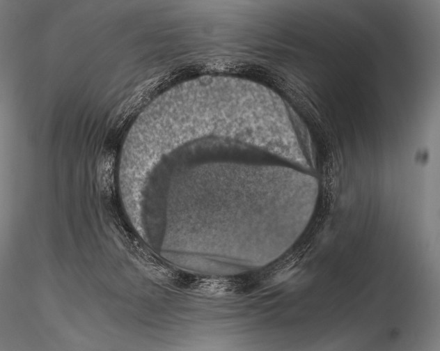 X0000115410127200912011349