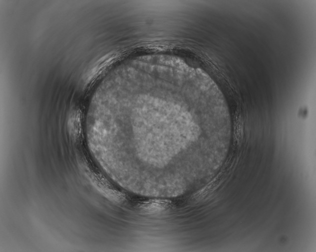 X0000115410128200912011349