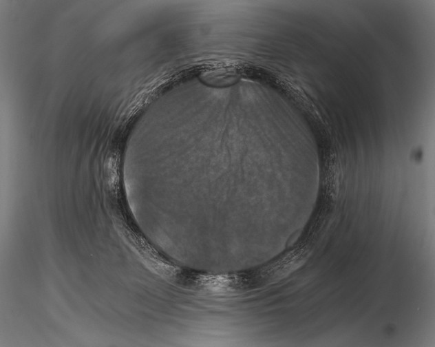 X0000115410131200912011349